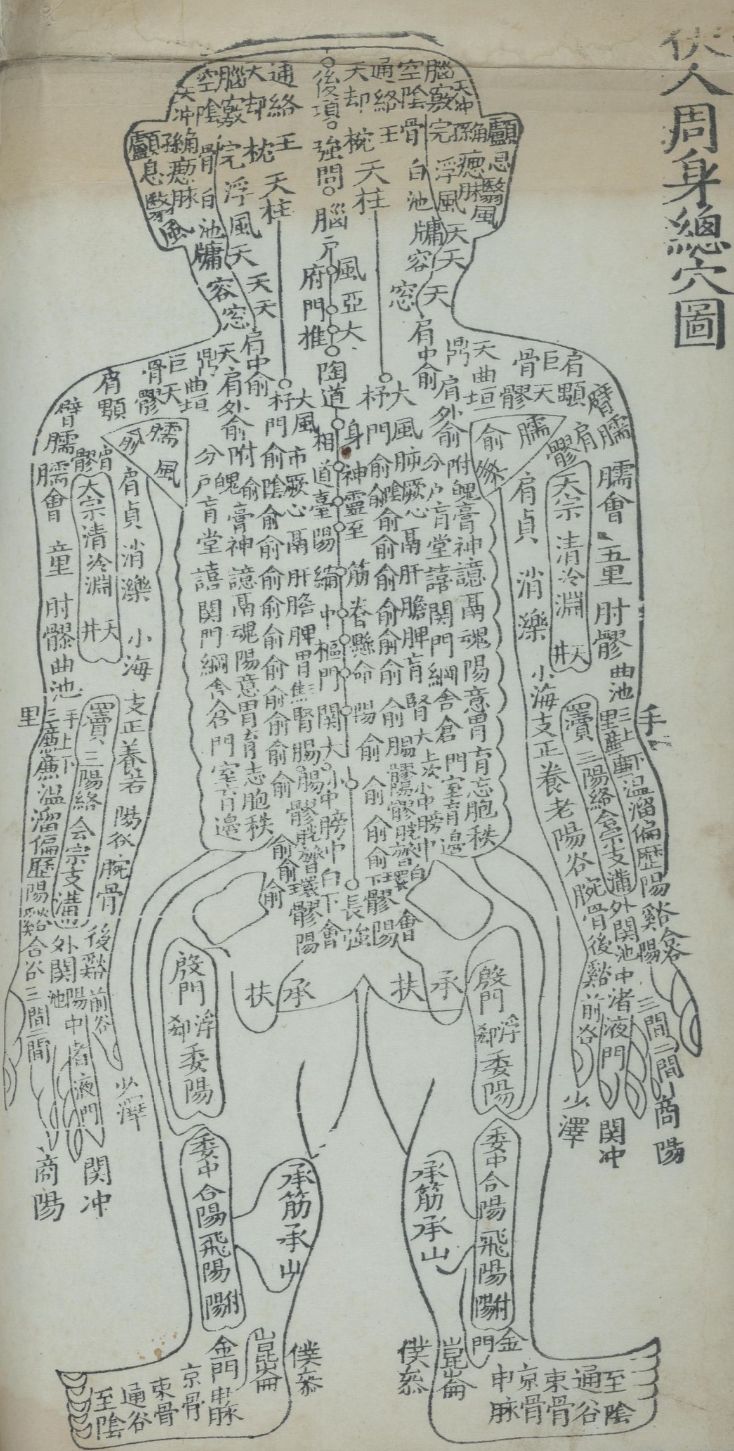 伏人周身總穴圖